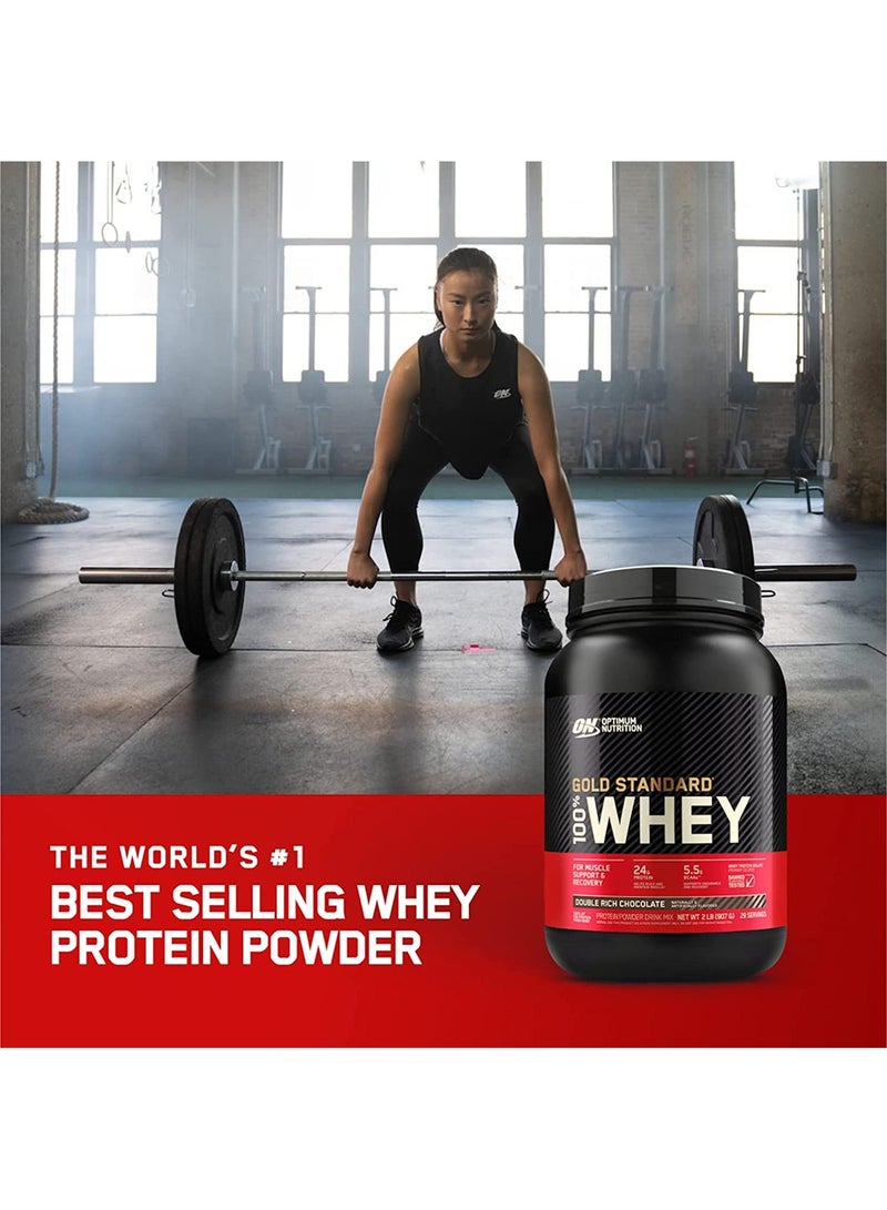 Optimum Nutrition - Gold Standard 100% Whey Protein Powder Primary Source Isolate, 24 Grams of Protein for Muscle Support and Recovery - Vanilla Ice Cream, 1.98 Lbs, 29 Servings (899 Grams) - Image 1