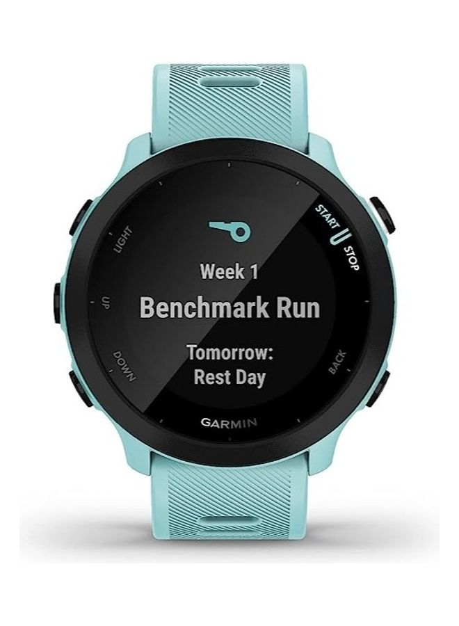 جارمين فور رانر 55، نظام تحديد المواقع العالمي (GPS)، الاتحاد الأوروبي، أزرق - Image 2