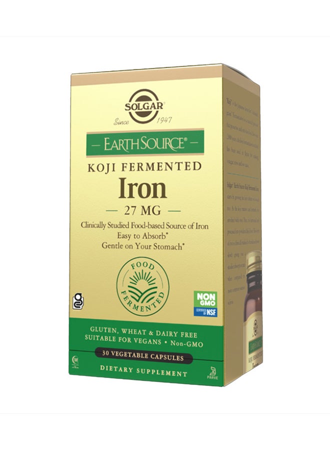 Solgar Earth Source Food Fermented Koji Iron Capsules - Image 1