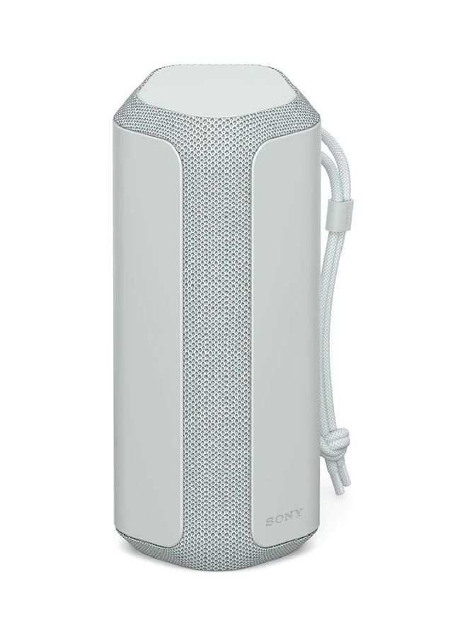 Sony X-Series Portable Wireless Speaker Silver  - Image 1