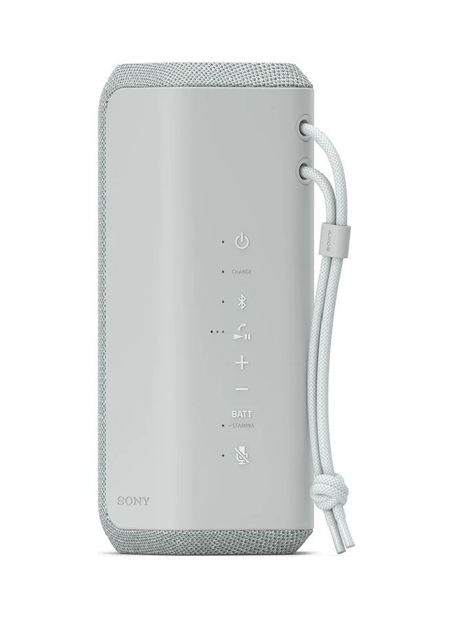 Sony X-Series Portable Wireless Speaker Silver  - Image 2