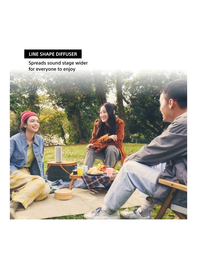Sony X-Series Portable Wireless Speaker Silver  - Image 4