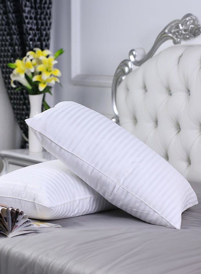REGAL IN HOUSE Set of 2-Pieces of Hotel Pillows, for Back, Neck, and Shoulder Support Soft Fluffy Stripe Hotel Pillows Microfiber White 90x50cm  - Image 1