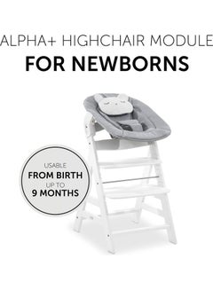 hauck Alpha Bouncer 661833 Baby Rocker High Chair Attachment 2 In 1 Can Be Used From Birth With Cushion And Compatible With Wooden High Chair Alpha + And Beta + Pastel Bear - Grey  - Image 4