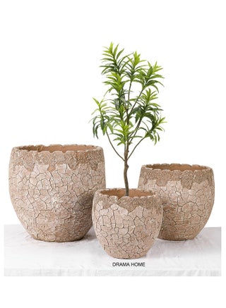 طقم أحواض نباتات وأشجار - تصميم بني طبيعي بأناقة مميزة - zsku/ZE870B0BDF81D473983DDZ-1/45/1744109222/b65b5727-7d16-4030-803d-001ee3f5eda2
