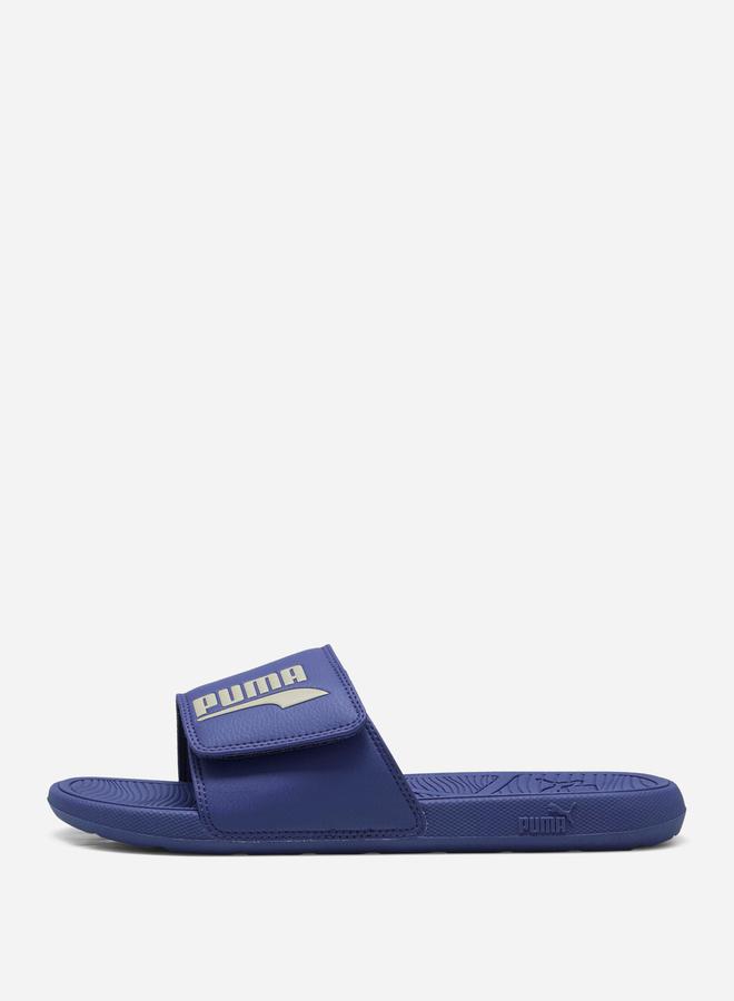 Cool Cat 2.0 Slides