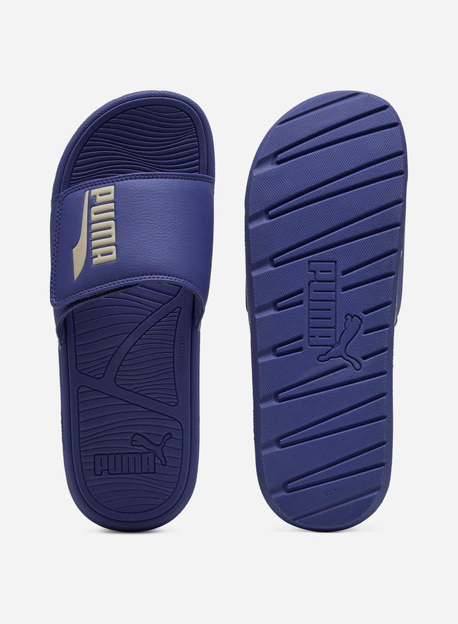 Cool Cat 2.0 Slides