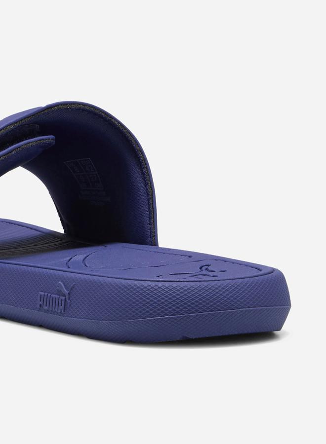 Cool Cat 2.0 Slides