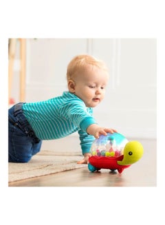 B. Toys Light-Up Turtle Ball Popper and 