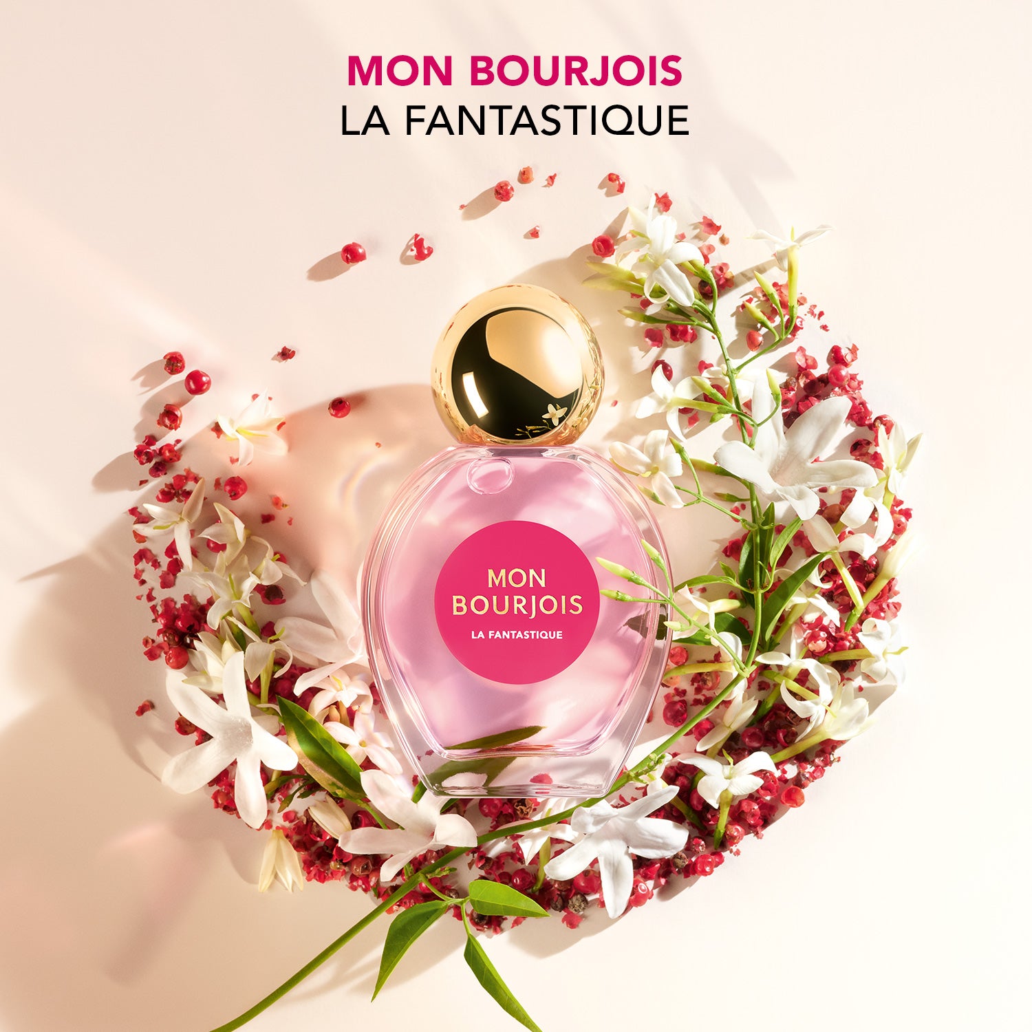 /~bourjoisparis/ZF10789C71AC8E4E55C67Z/p