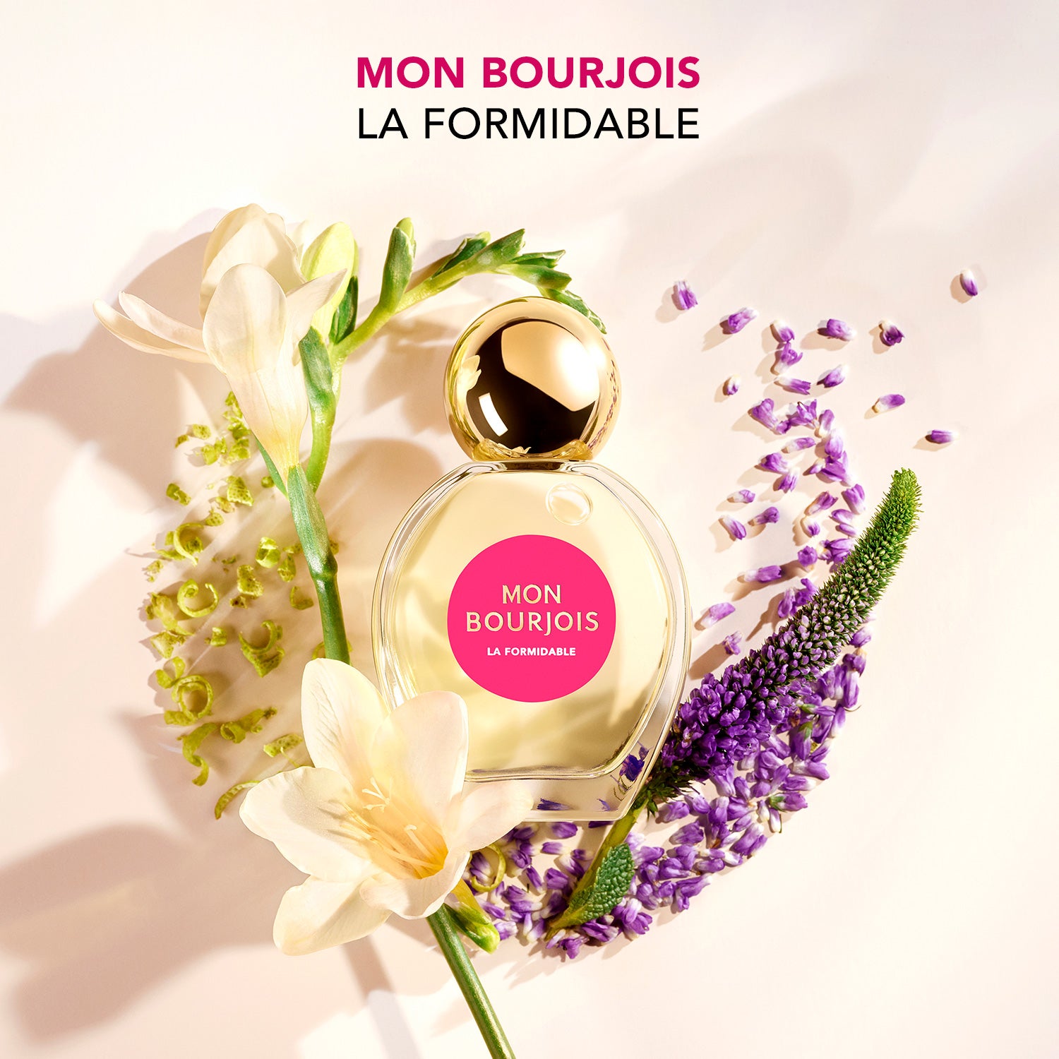 /~bourjoisparis/Z2E15A8051991630E74D9Z/p