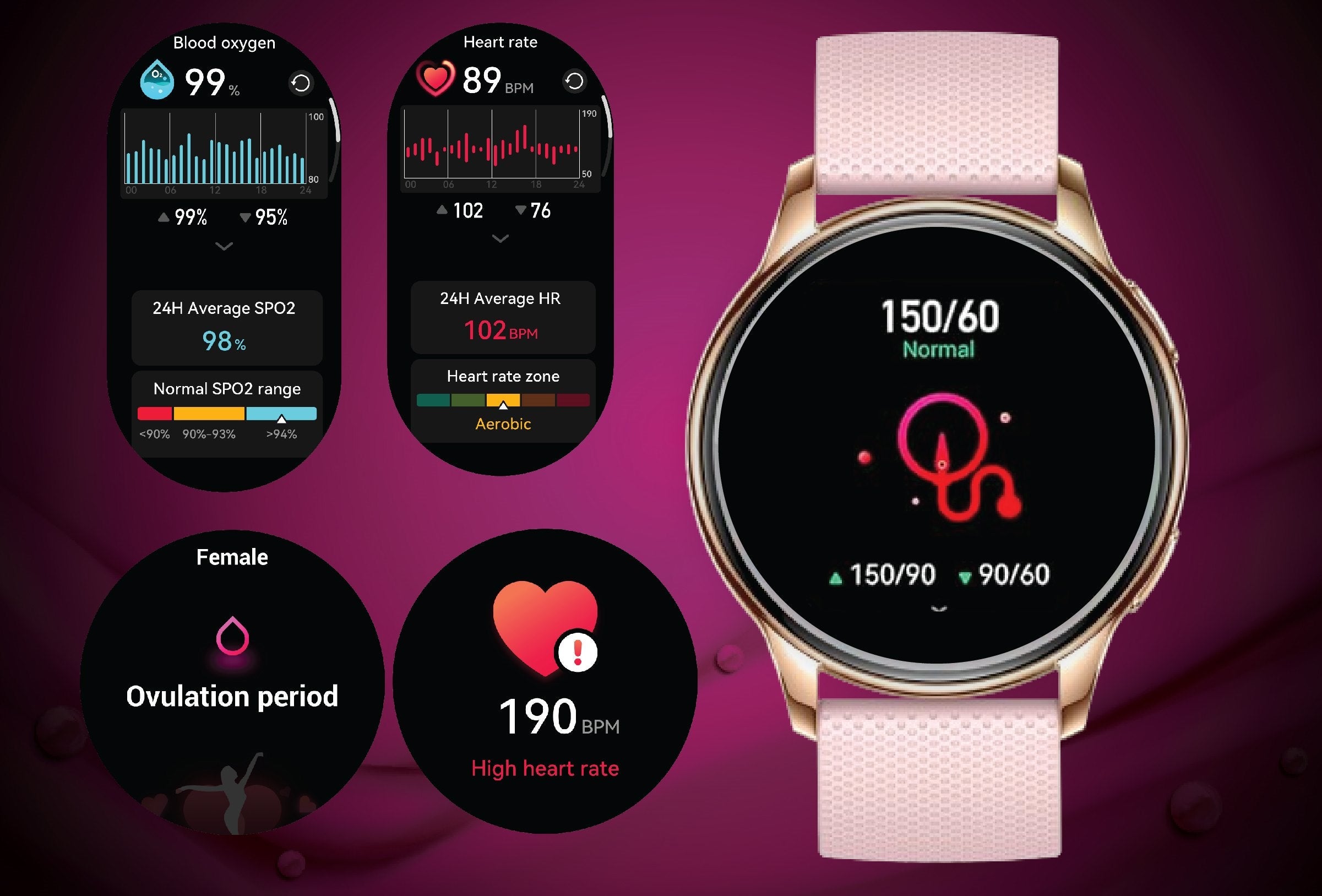 /~armfit/N70064792V/p