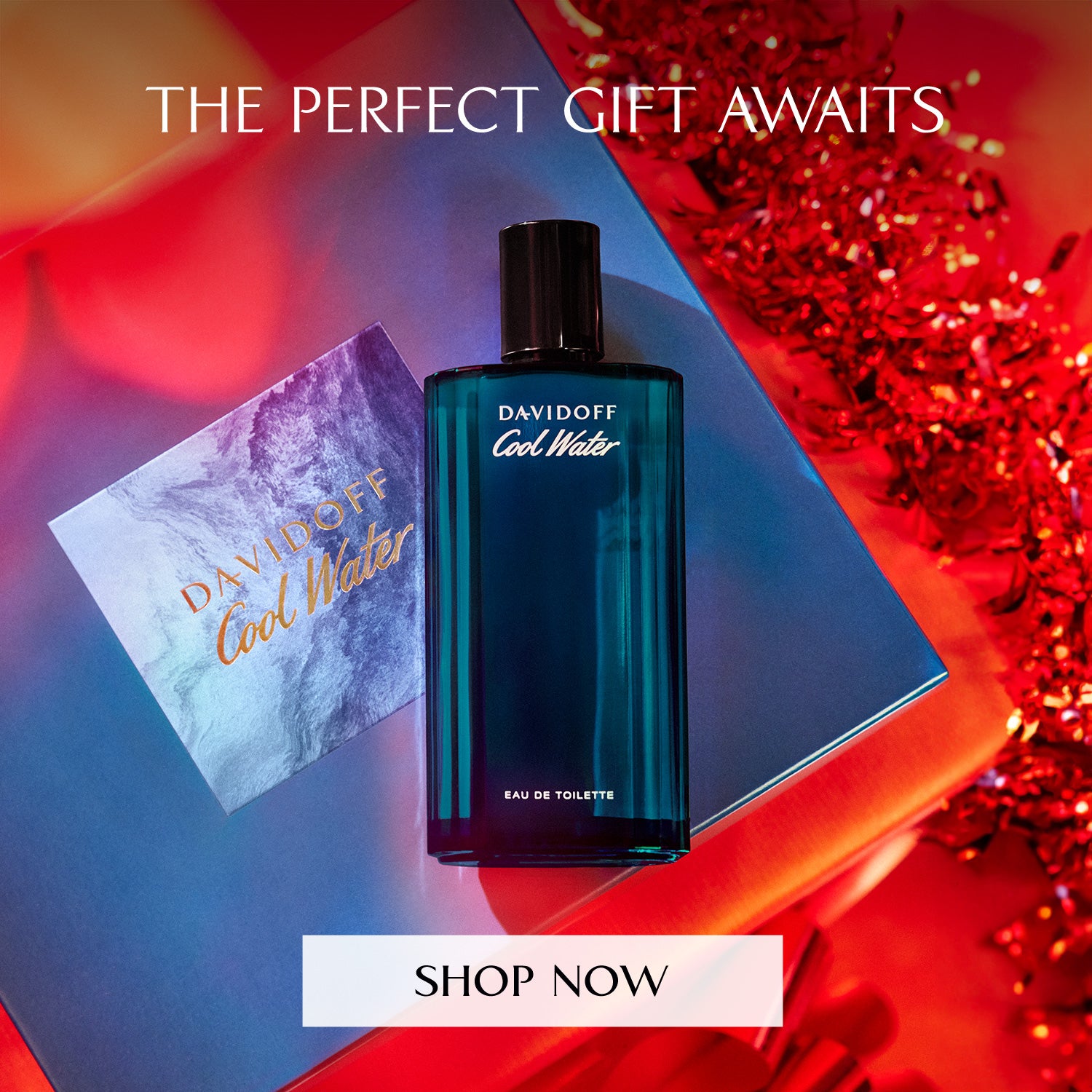 /~davidoff/N19151439A/p