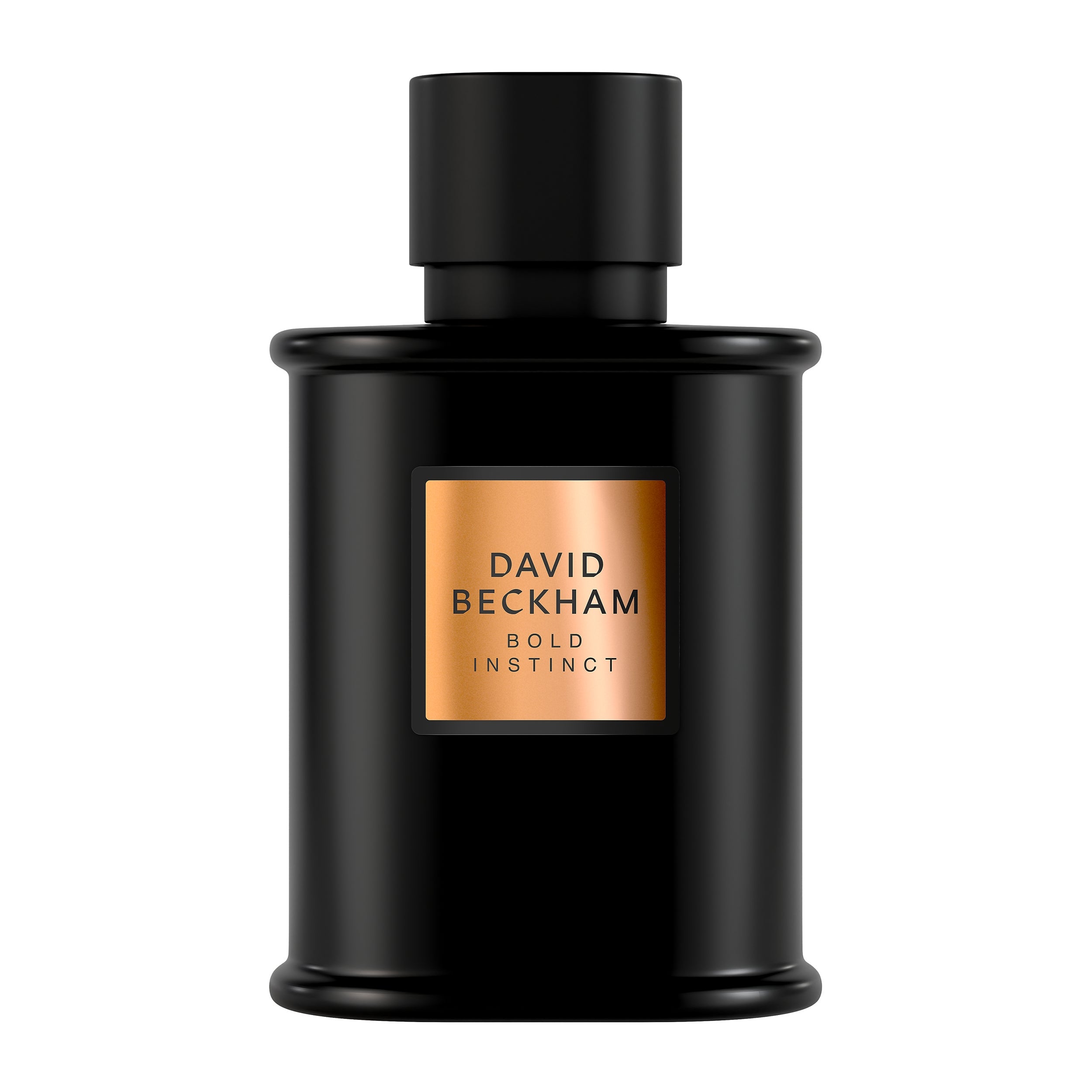/~davidbeckham/N11074515A/p