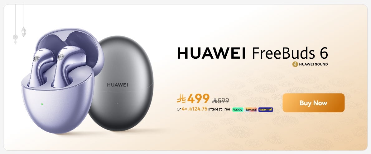 /~huawei/N70170051V/p