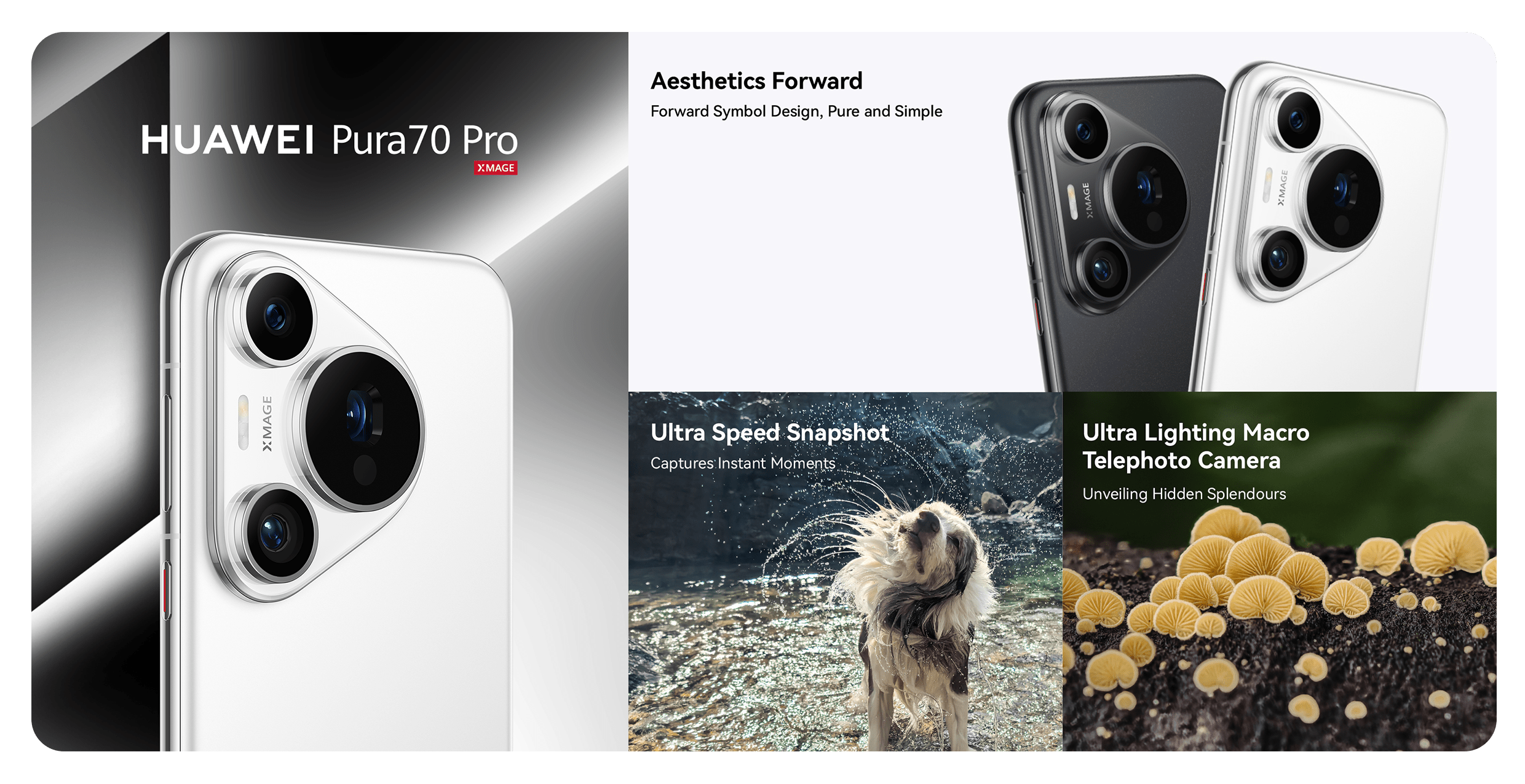 /~huawei/N70065267V/p