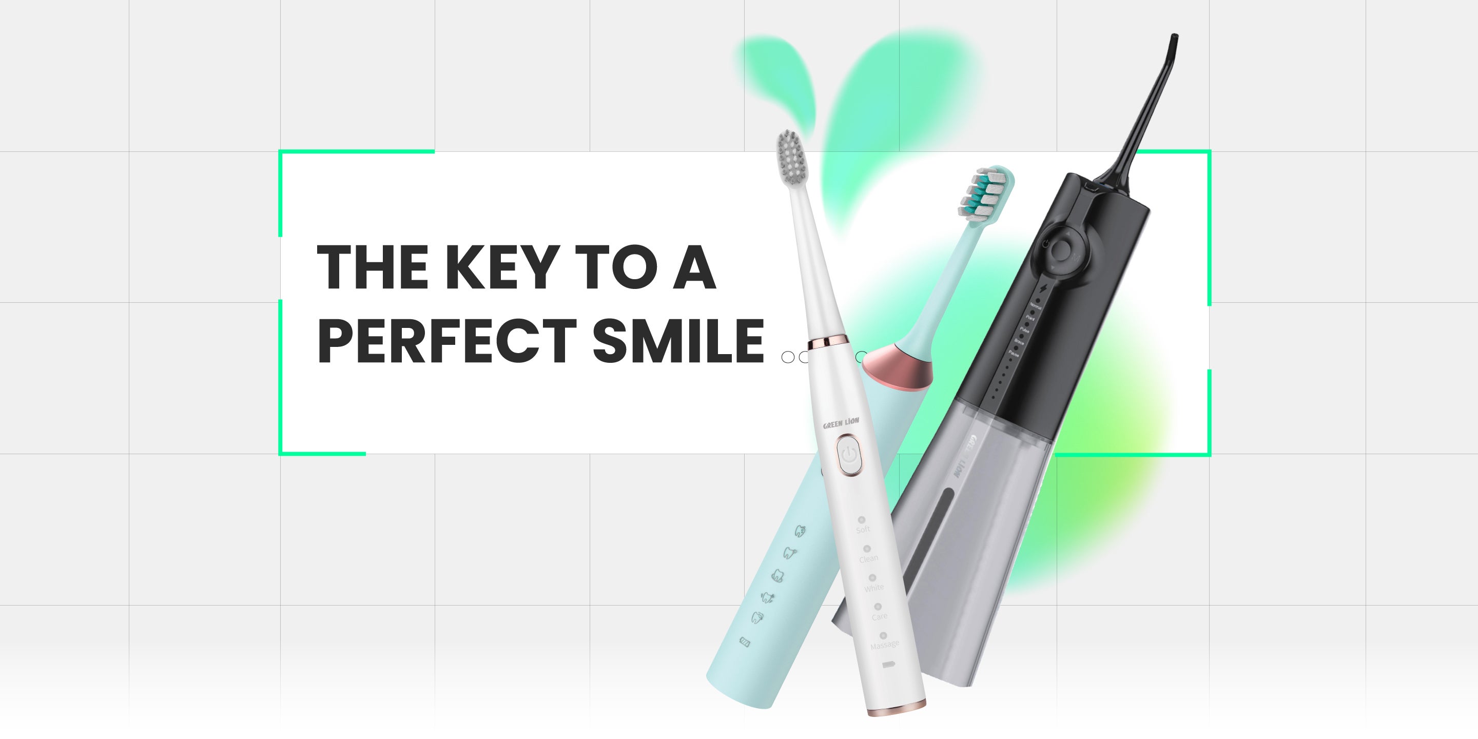 /~greenlion/beauty/personal-care-16343/oral-hygiene/green_lion?f[partner][]=p_188&q=green lion brush