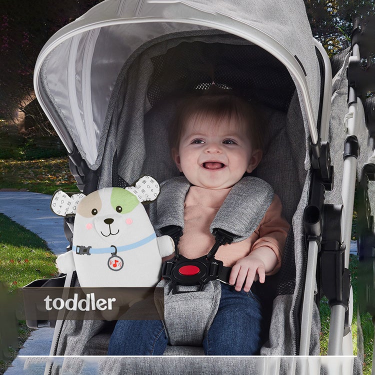 /~fisher-price/toys-and-games/baby-and-toddler-toys/fisher_price